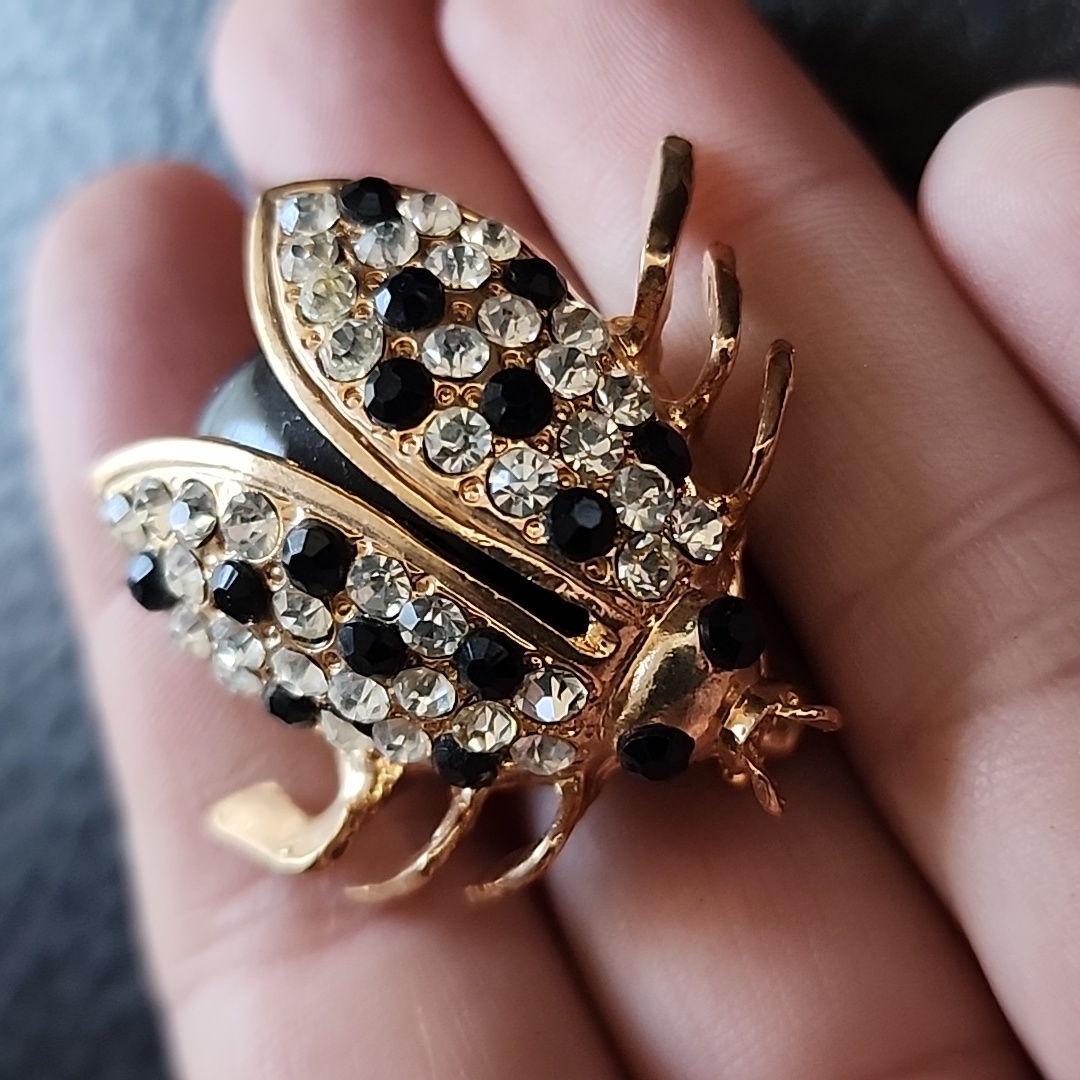 Bug Brooch